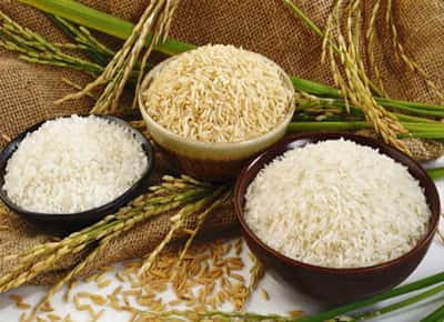 rice image